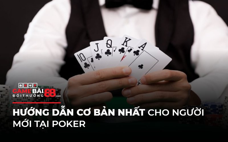 Hướng dẫn cơ bản nhất cho người mới tại Poker