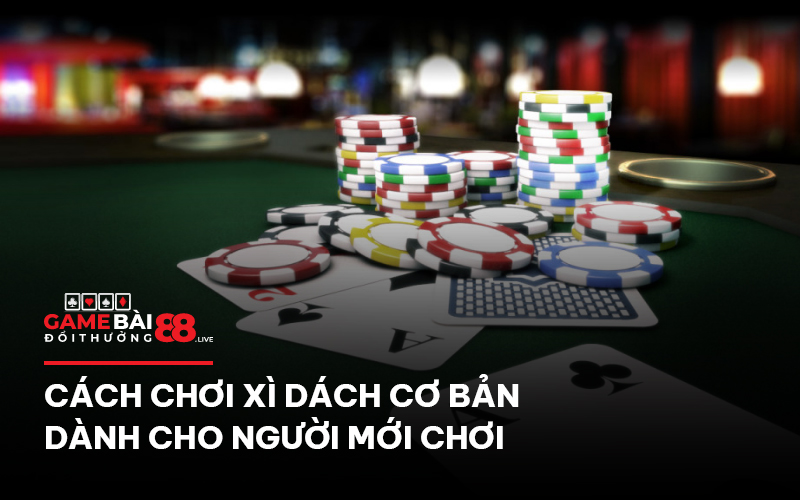 Cách chơi xì dách cơ bản dành cho người mới chơi